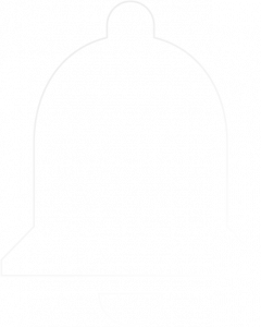 Vector